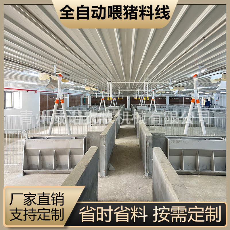 猪场全自动料线 养猪喂料设备 猪场养殖设备 塞盘绞龙料塔配件料