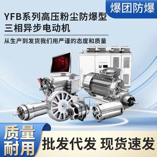 YFB 450～560系列高启动转矩高压粉尘防爆磨煤机用三相异步电动机