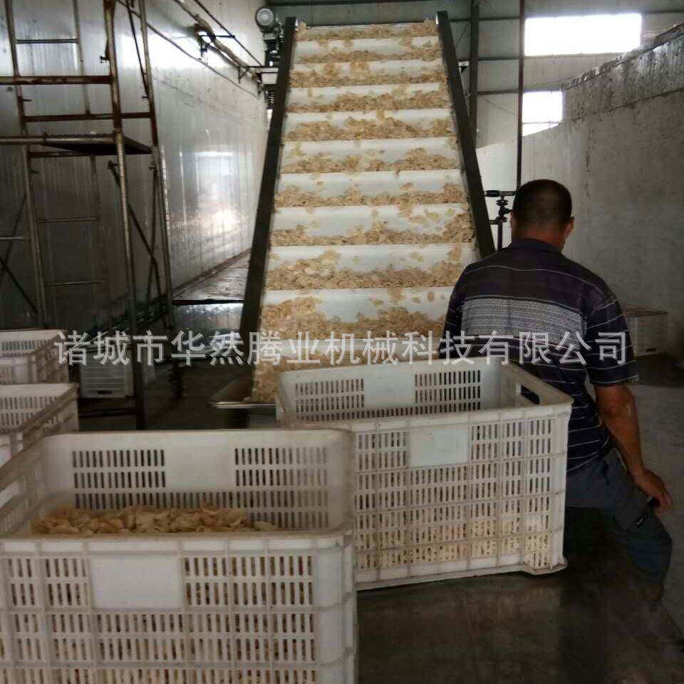 热卖荷叶节能烘干机环保电加热百合烘干房自动控温蒸汽烘烤箱