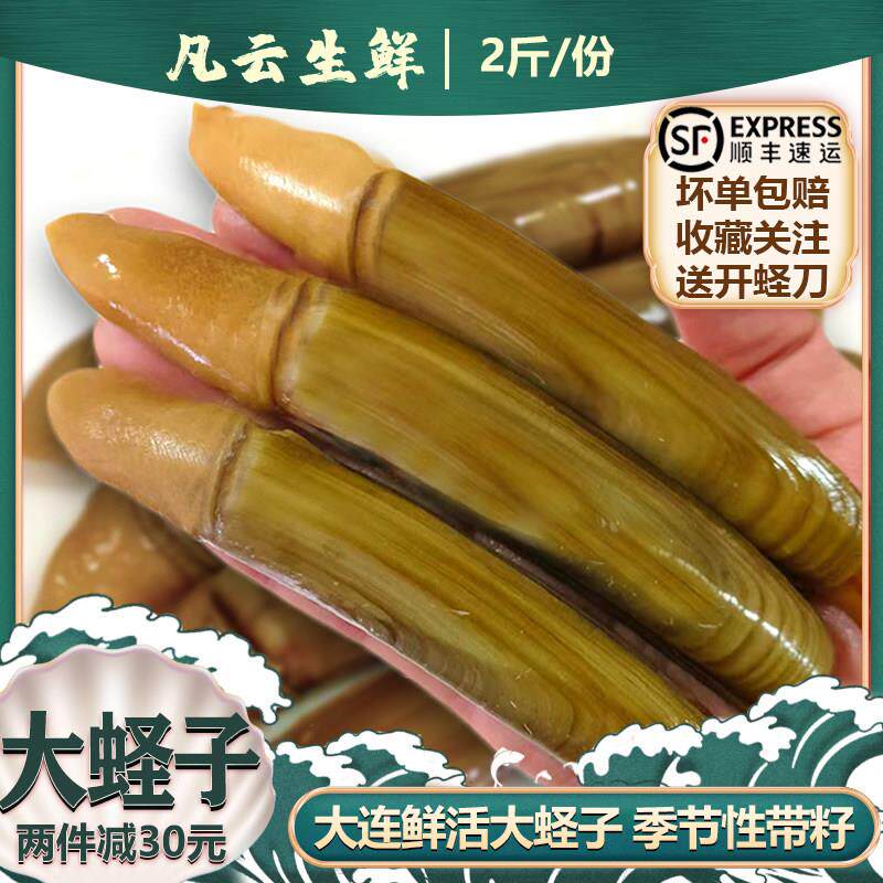 蛏子鲜活大号笔杆蛏新鲜海蛏子王肉无沙竹节蛏小贝类大连海鲜水产