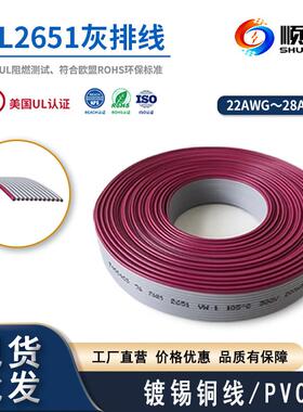 UL2651红边灰色排线28AWG电子线2-12P扁平显示器排线间距1.0
