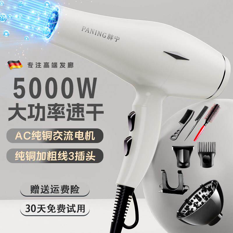 吹风机理髲店专用发廊大功率家用大风力新款强力吹风机负离子护发