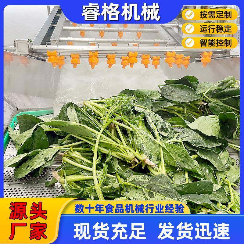厂家果蔬大枣清洗机高压气泡清洗线蔬菜喷淋气泡清洗机