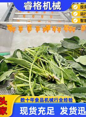 厂家应黄瓜备气泡ITU清洗杂设 不锈钢供草莓气泡翻浪清洗机去