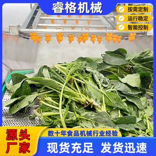 厂家应黄瓜备气泡ITU清洗杂设 不锈钢供草莓气泡翻浪清洗机去