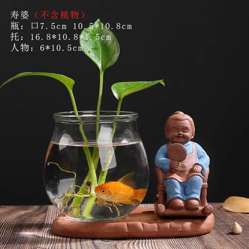 高档意创水养盆璃植物绿萝水培花瓶玻透明花陶瓷器皿插花瓶子桌面