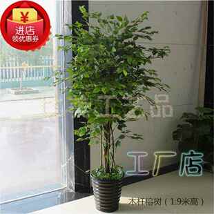 物饰木树杆订 仿真绿假植榕树大型植酒厅店大客落地花艺SGL布景装