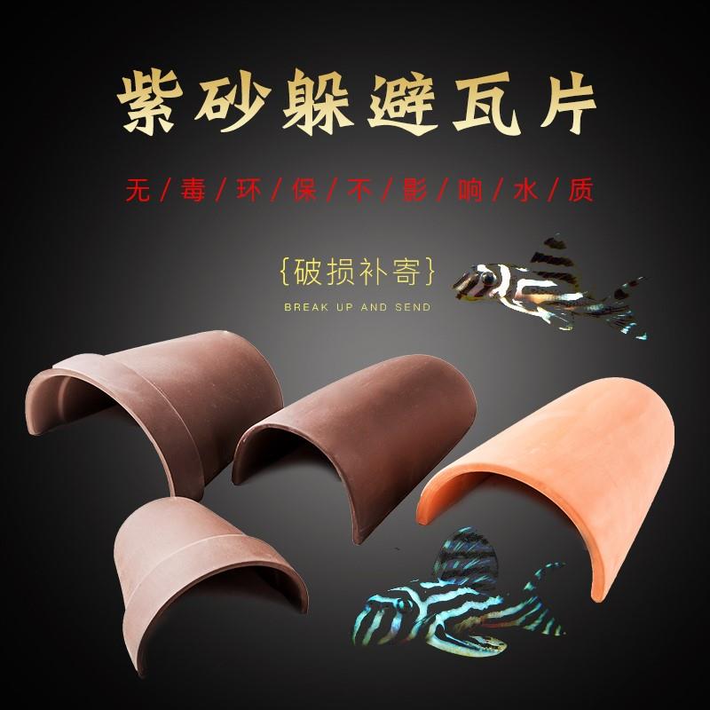 六角恐龙鱼的鱼缸蝾螈宠物鱼缸蝾螈饲养缸六角龙专用鱼缸躲避罐屋
