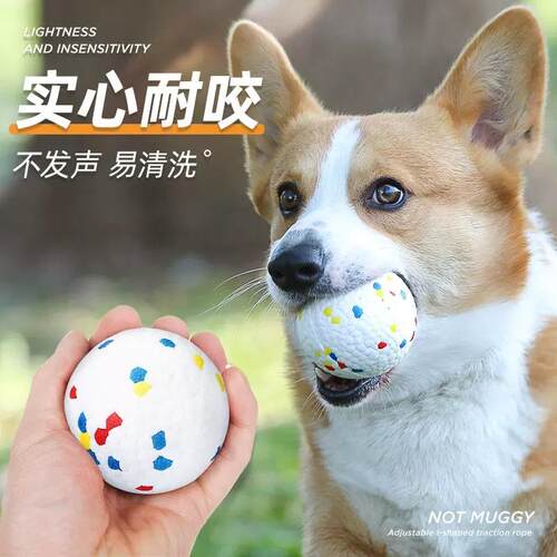 Durable Dog Toy Ball, Indestructible for Dogs, Perfect for B