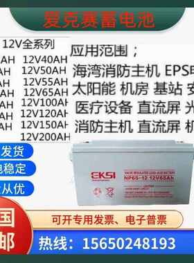 EKSI爱克赛蓄电池NP100-12V7A12A17A24A38A65A100A120A150A直流屏