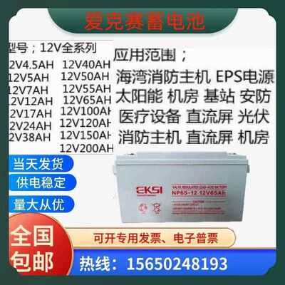 EKSI爱克赛蓄电池NP100-12V7A12A17A24A38A65A100A120A150A直流屏