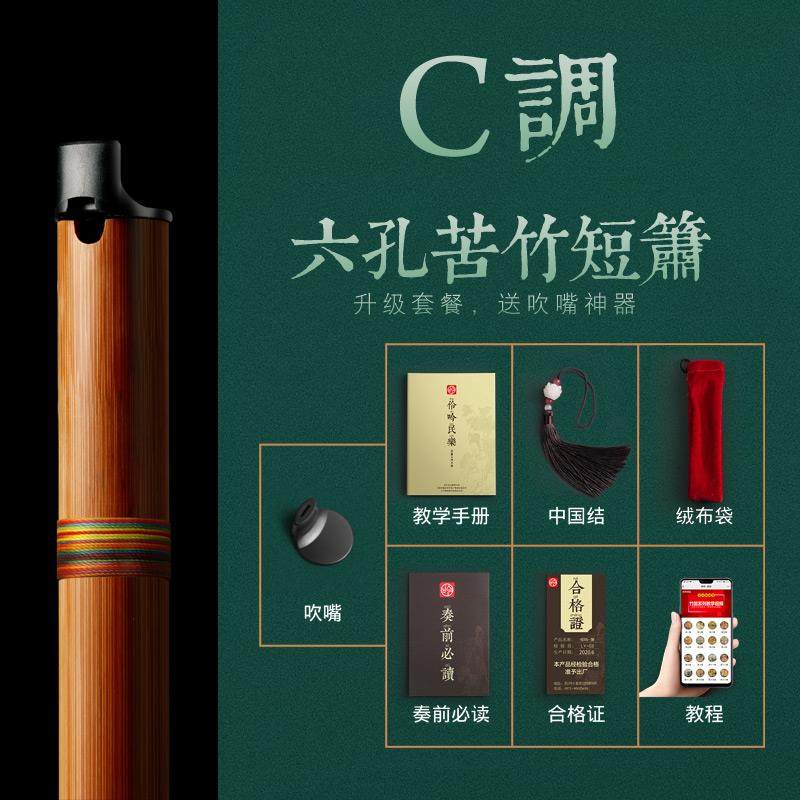 高档伶八笛吟初学零G基础入门迷你小型短箫乐器六孔F调萧便携古风