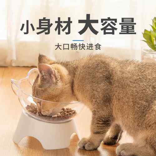 猫碗狗碗猫咪单碗防滑猫碗斜口工厂可跨境护颈透明宠物碗高脚