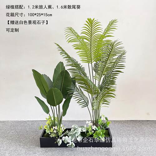 仿生绿植造景组合散尾葵 猴头蕨家居室内假树橱窗落地装饰假绿植