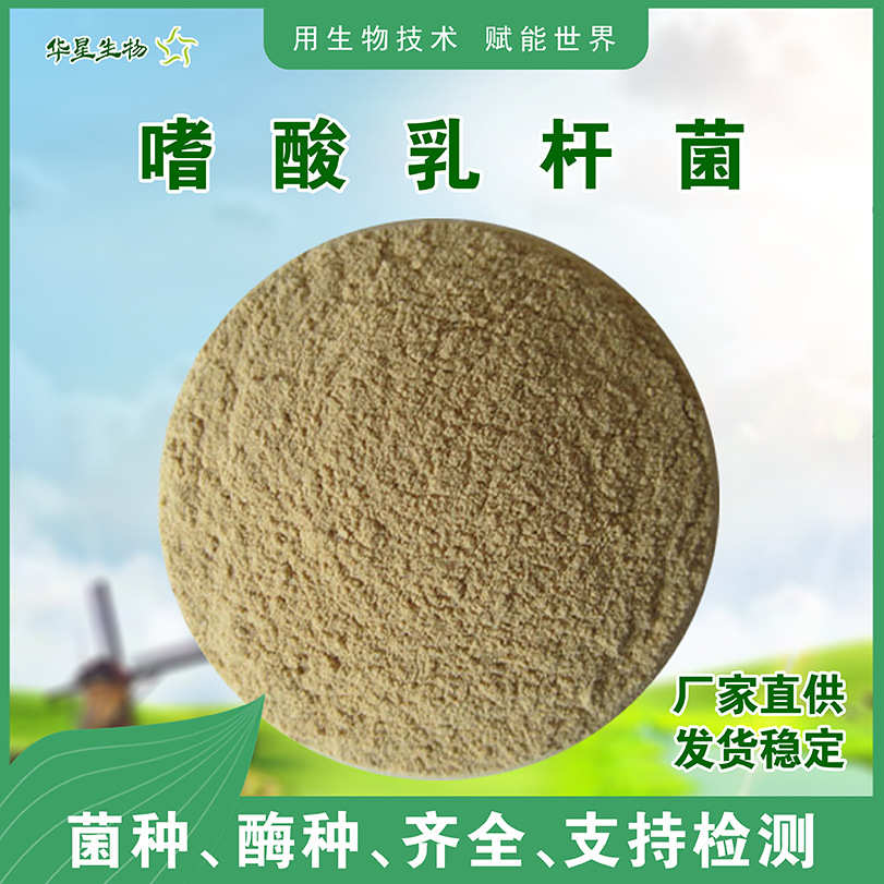 华星生物嗜酸乳杆菌 水产饲用养殖兽用芽孢杆菌100亿1000亿乳酸菌