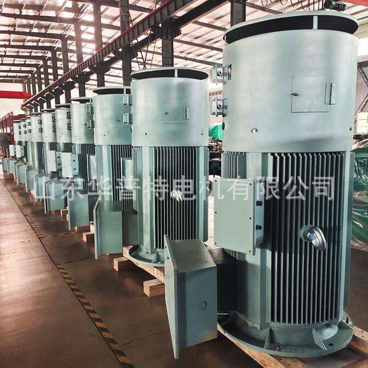 出口立式电机Y3-355-4/355kw, 5500v, 50Hz, V1 IP65防爆线盒