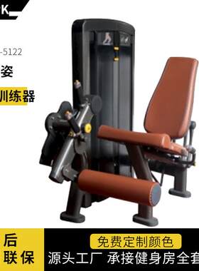 全套健身房坐姿伸腿训练器高低拉背腿部飞鸟划船商用力量训练器械
