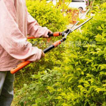 KOTESO园艺大剪刀KT2231园林修枝剪老人头花木剪草修草坪绿篱剪