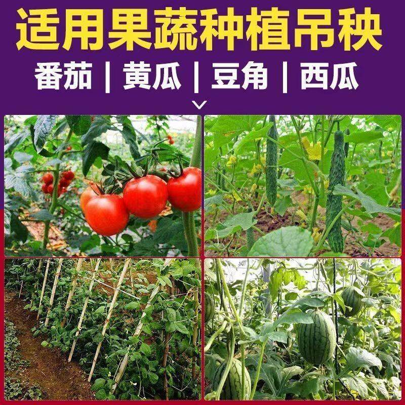 吊秧绳黄瓜西红柿蔬菜大棚吊蔓绳尼龙绳耐磨农用抗老化吊绳塑料绳