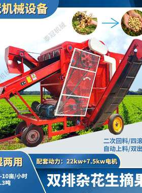 大型双排杂花生摘机果DFM干湿用排土排杂花生机1300型摘花生两果