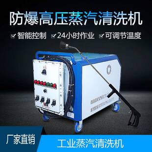 工业高温防爆蒸汽清洗机压机械齿轮油污清洁设备清洗机工厂