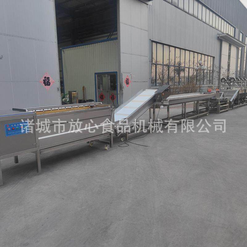 预制菜根茎类流水线 根茎类蔬菜清洗设备 毛辊清洗净菜流水线
