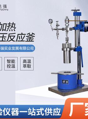 消解罐磁力搅拌小型反应釜电加热高压反应釜FCF型不锈钢反应釜