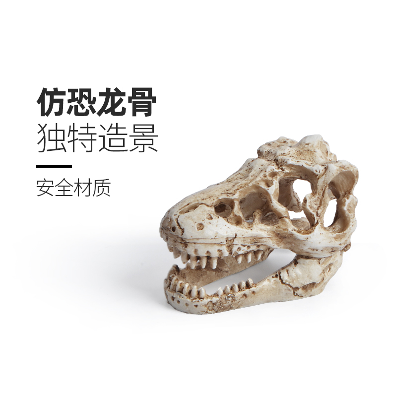 鱼缸造景恐龙头骨躲避洞穴鱼儿观赏鱼躲避窝屋水族箱装饰摆件用品