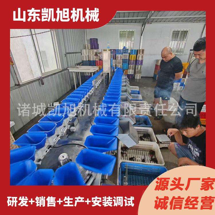 全自动羊蹄重量分选机鸡脖多级分级秤猪尾巴重量筛选秤 源头厂家