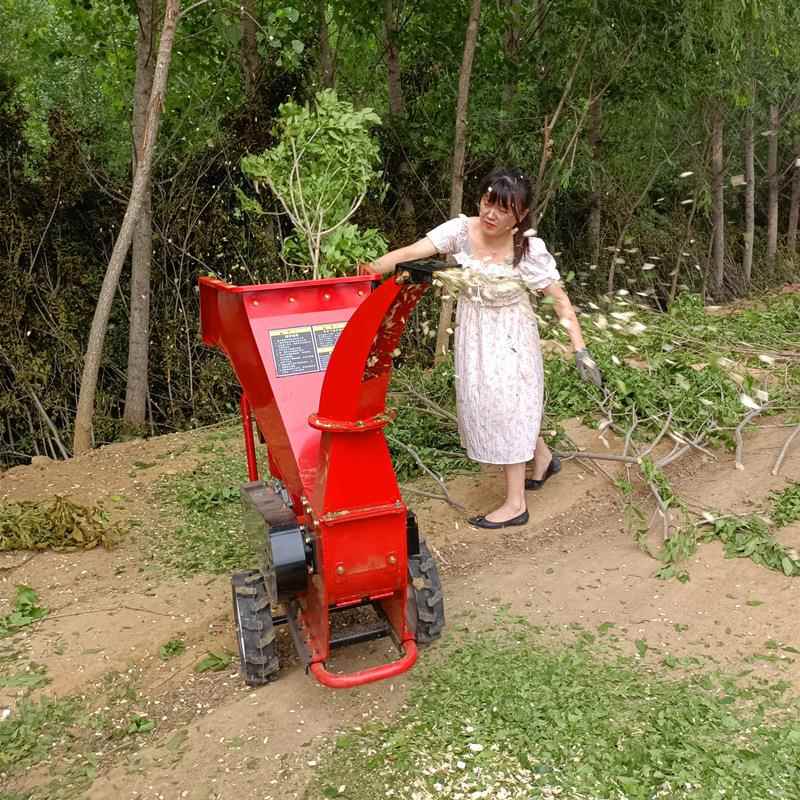 碎枝机果园树枝粉碎机柴油汽油多功能移动粉碎园林树枝秸秆机