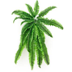 仿真植物蕨类特大波斯叶墙面装饰配草模拟花挂壁人造植物波士顿蕨