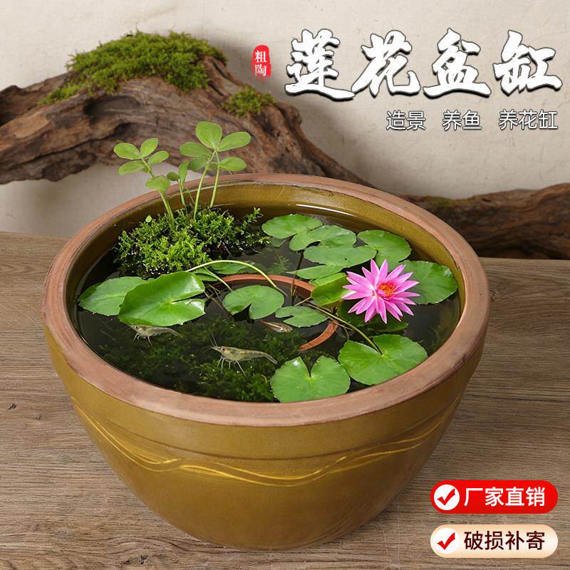 养睡莲荷花盆缸加厚耐晒花盆缸莲藕铜钱草水培碗莲特大号无孔种植