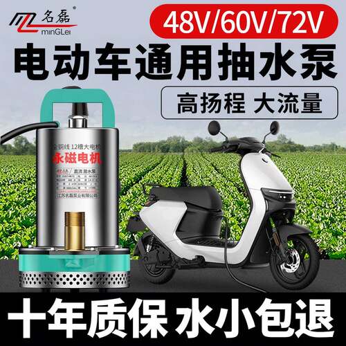 名磊48v60v72v电动车抽水泵通用电瓶车专用抽水泵农用直流潜水泵