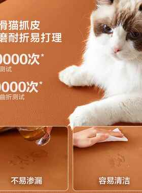 折叠沙发2025年新小户床型体单人伸缩款床多功能一两用客厅sfc-mz