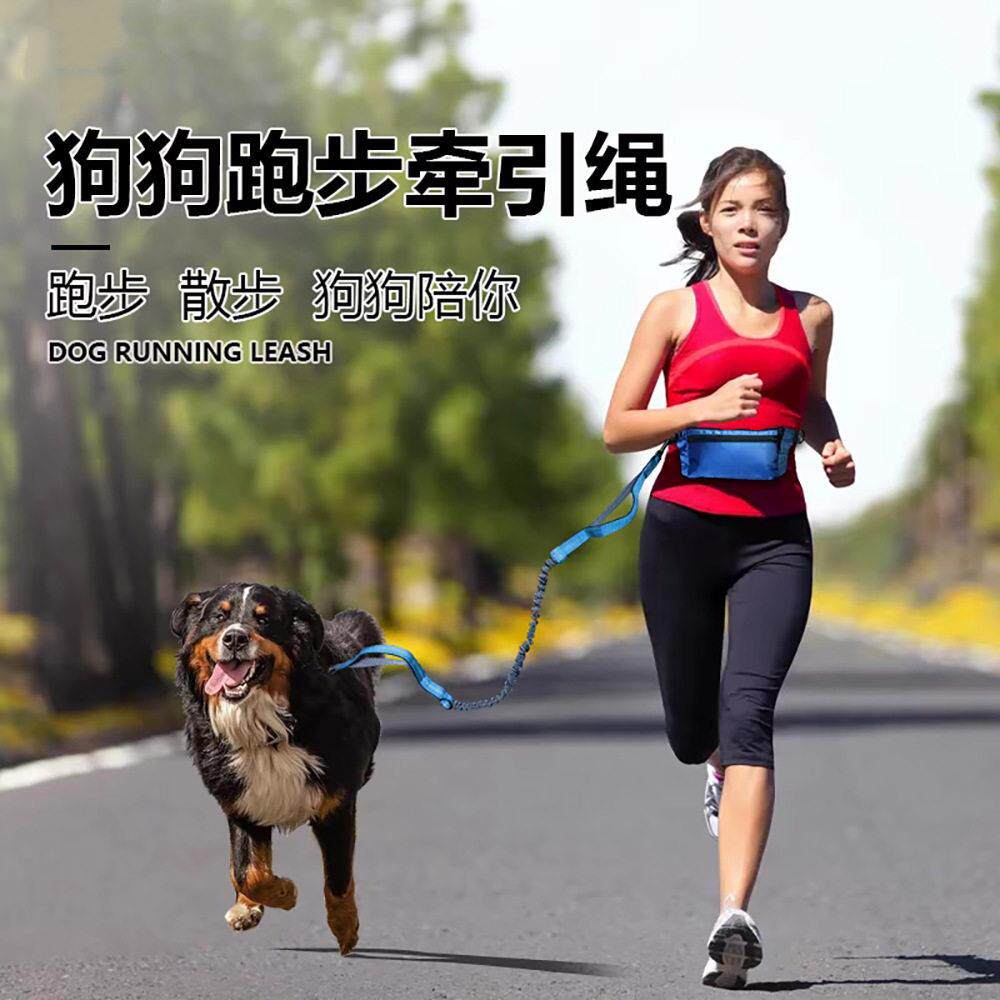 运动户外跑步腰包套装宠物牵引绳狗狗牵引带散步遛狗犬用