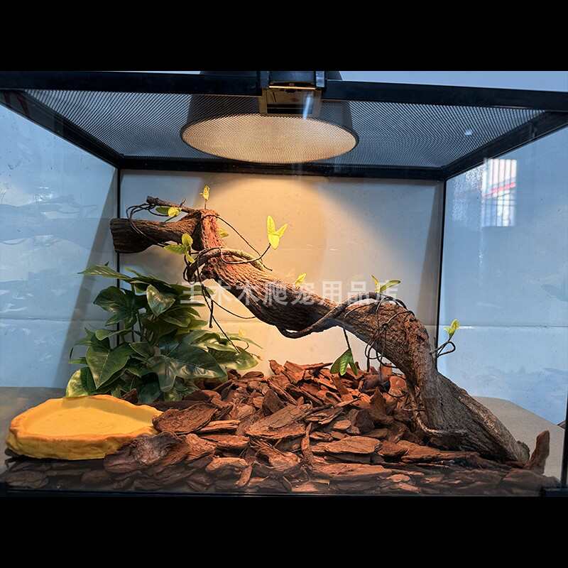 爬宠攀爬藤蔓过江龙装饰树蛙蛙变色龙蜥蜴造景植物树栖雨林缸藤条