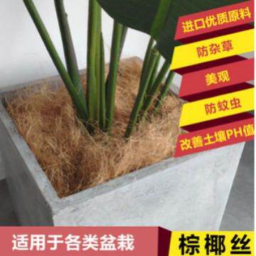 椰棕丝椰纤维绿植铺面透气多肉仙人掌花盆覆盖装饰椰纤维丝