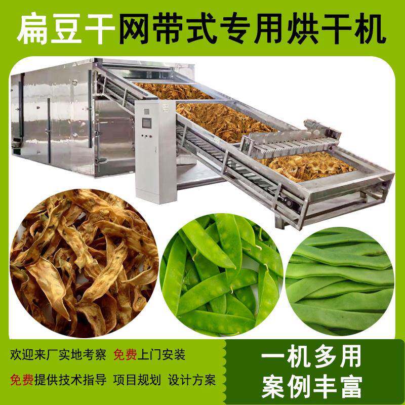 大型扁豆烘干设备四季豆扁豆烘干机商用自动网带式中药材烘干房
