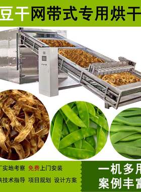 大型扁豆烘干设备四季豆扁豆烘干机商用自动网带式中药材烘干房
