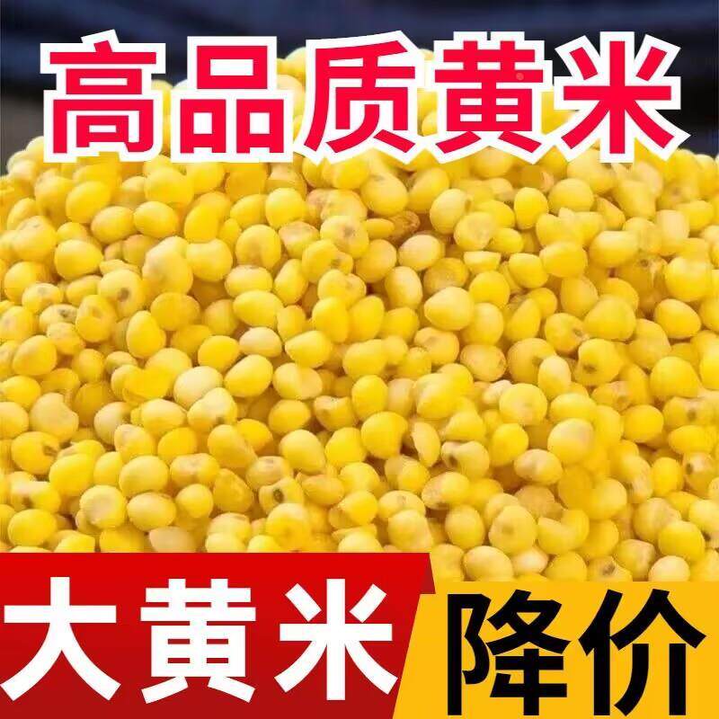 山西农家新糜子大黄米软糯小米江米软米粘米年糕黏米包粽子专用藜