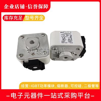 170M6415/6416/6417/6418/6419/6420/6421全新熔断器现货