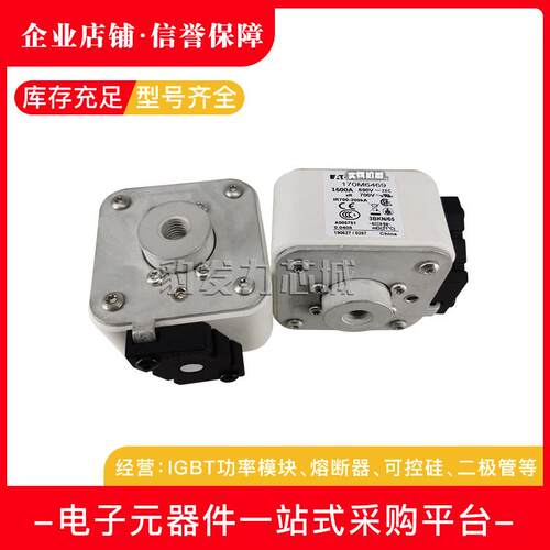 170M6415/6416/6417/6418/6419/6420/6421全新熔断器现货