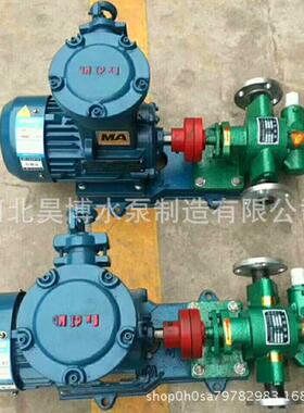 KCB-200型不锈钢齿轮泵小型增压泵高粘度抽油泵小功率