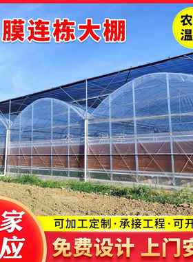 8432外遮阳塑料薄膜连栋温室大棚农业种植花卉蔬菜育苗育秧大棚
