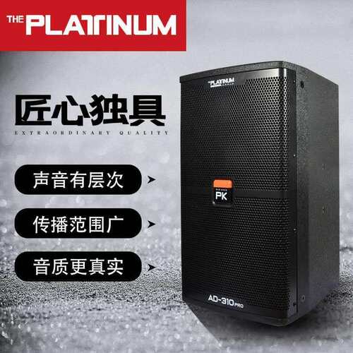 PLATINUM舞台KTV组合音响家庭点歌会议包间套装10寸卡拉OK低音
