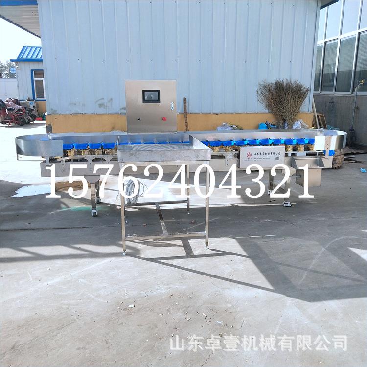 海海蛎子分参拣机 盘式选出料分选 规转格型号可分 商用厂家直销