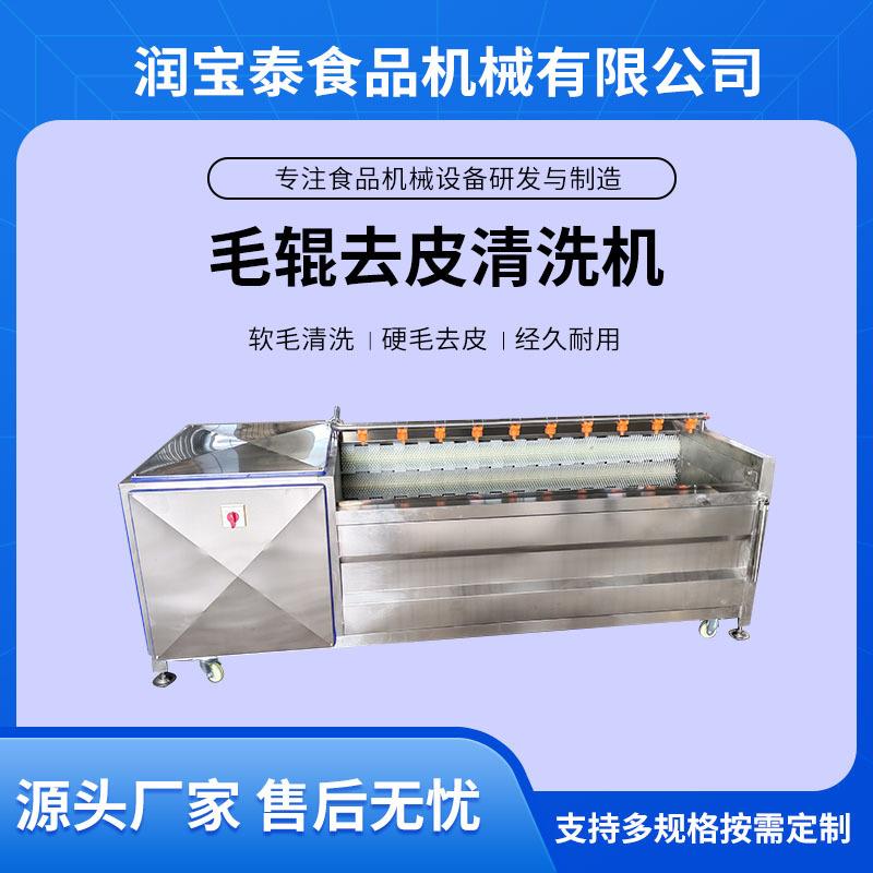 莲藕毛刷清洗机土豆姜全自动毛辊清洗设备贝壳类毛辊清洗机