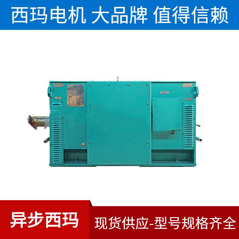 供应Y系列Y5604-10630W10V西安电机厂压电机
