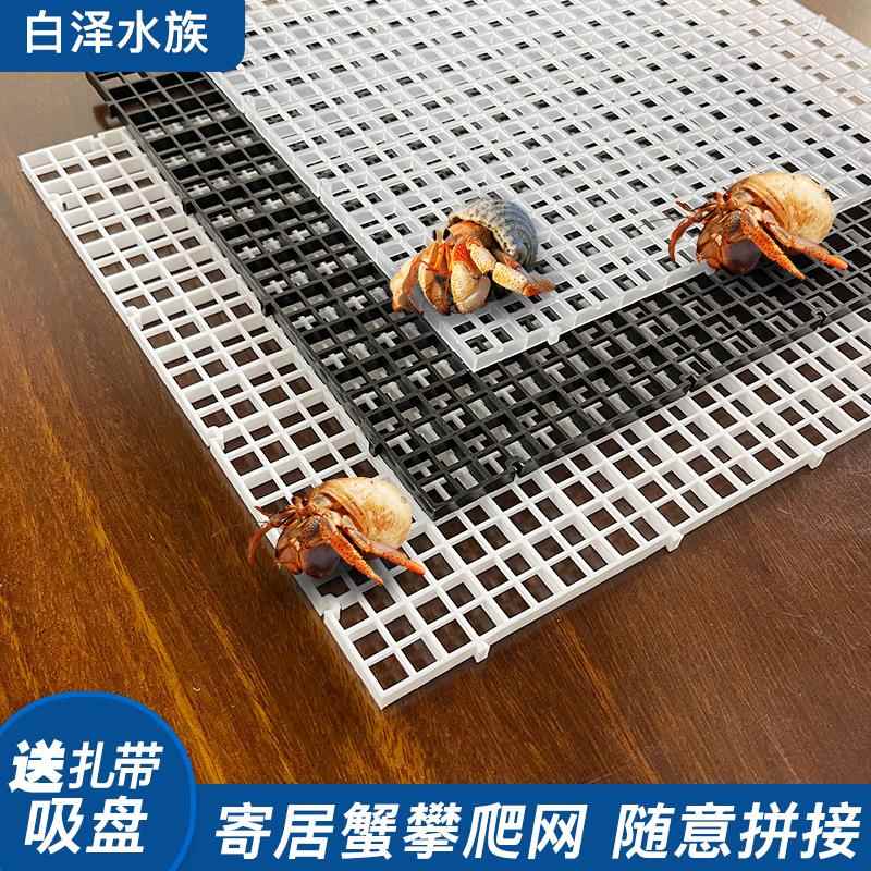 寄居蟹攀爬网格板鱼缸造景爬网隔离板爬虫用具螃蟹乌龟缸底垫板