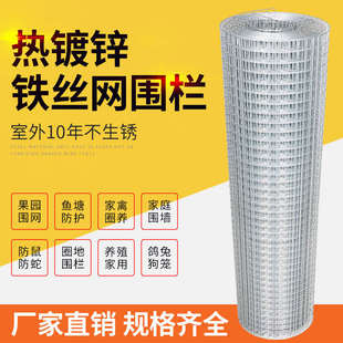 镀锌钢丝网养鸡果园围栏网户外围网护栏铁网围栏小孔养殖网铁丝网